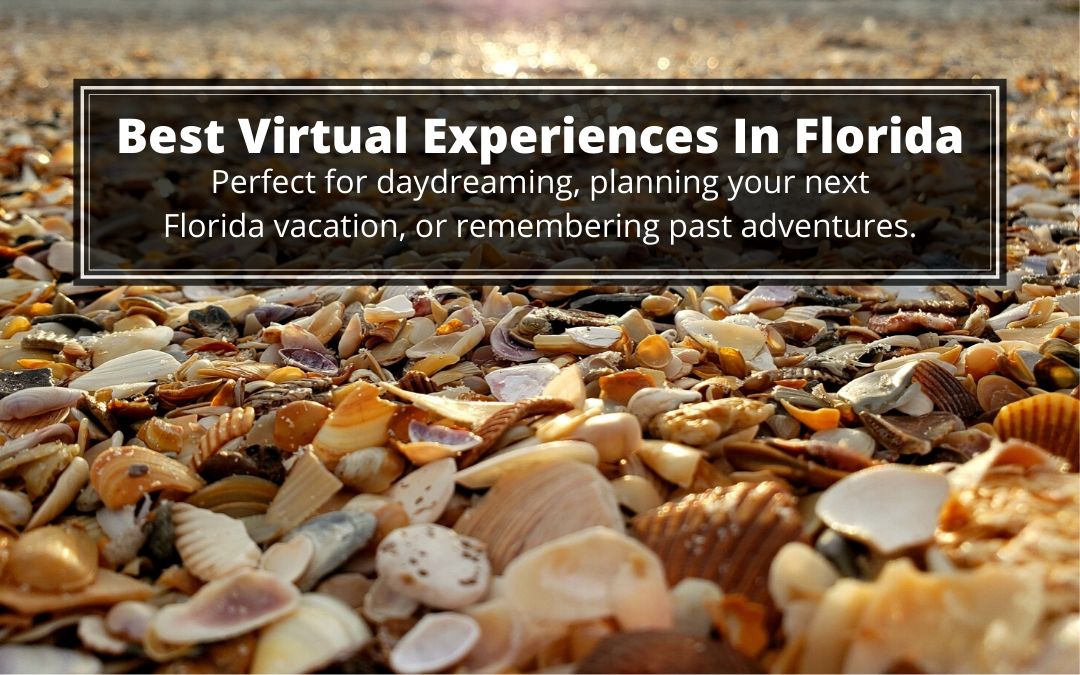 We list the best virtual experiences in Florida! Perfect for daydreaming, planning your next Florida vacation, or remembering past adventures.