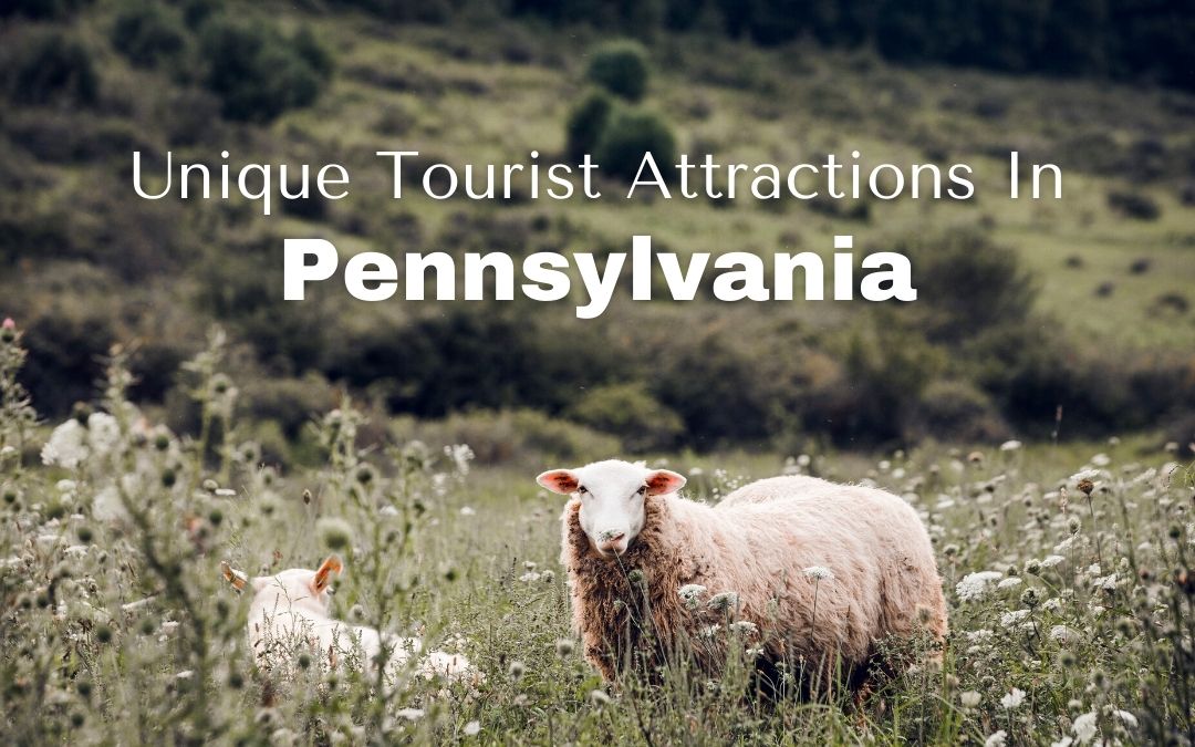 Looking for fun and unique tourist attractions in Pennsylvania? We list items for the whole family, like scooter tours and ice cream tastings!