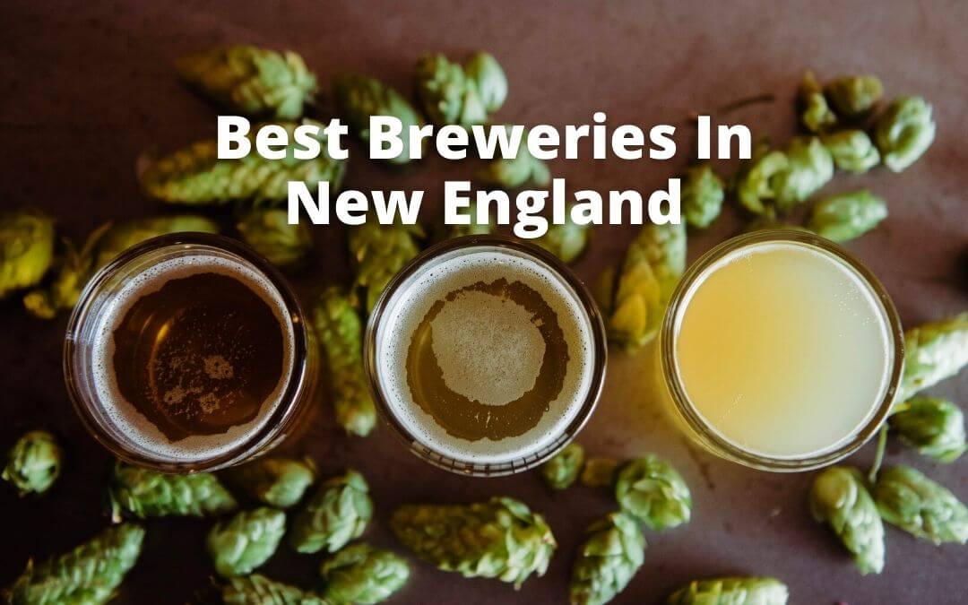 The best breweries in New England! With bold flavors made from the finest ingredients, you won't be able to resist these smooth brews.