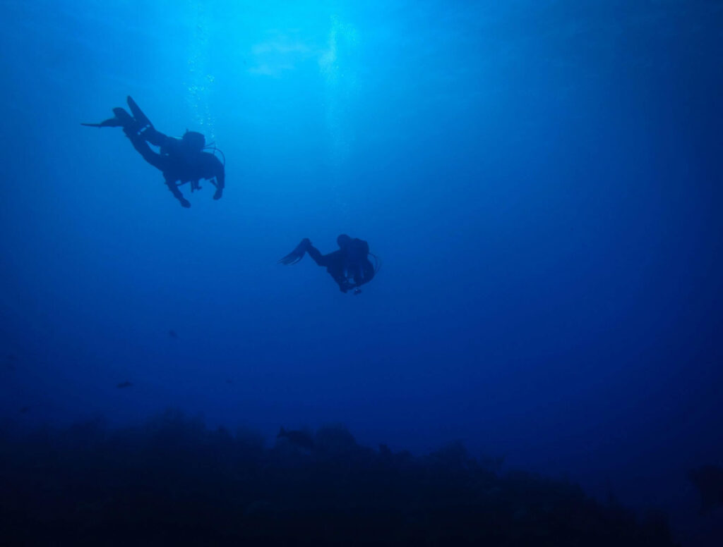 two scuba divers under water