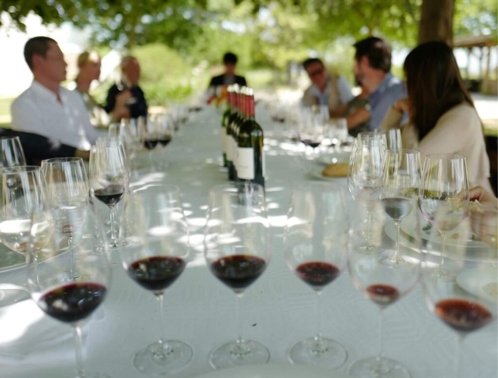 Glasses with samples of wines on a table