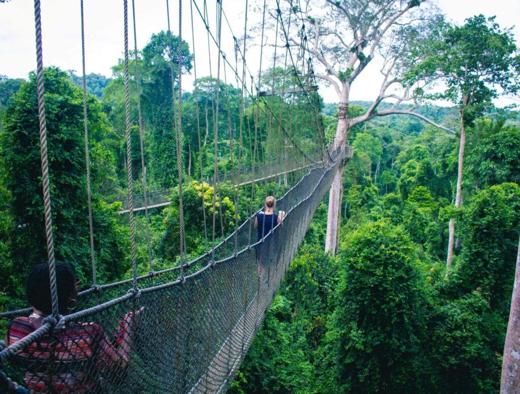 two women walking on suspension bridge in a jungle
