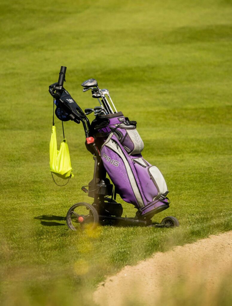 purple golf bag on the green