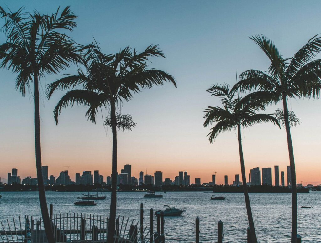 Skyline in the distance with palm trees in the forefront