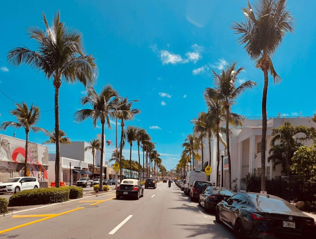 Miami Beach street with cars and palm trees along the sides